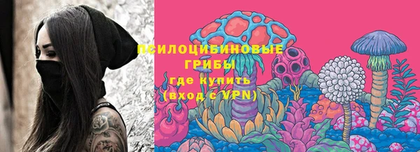 тгк Аркадак