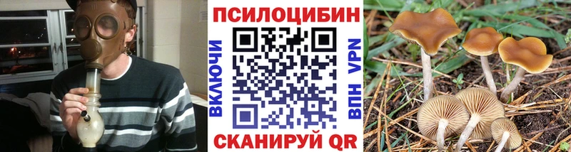 купить наркотик Хотьково Галлюциногенные грибы MAGIC MUSHROOMS